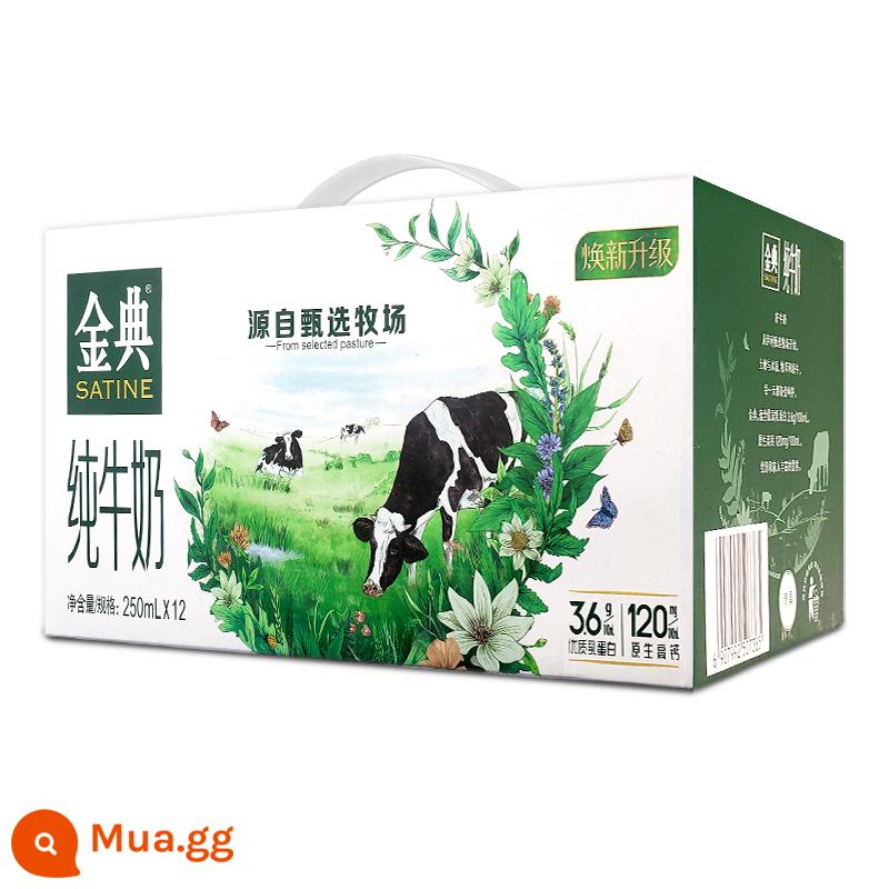 Sữa nguyên chất Yili Jindian 250ml*12 hộp nguyên hộp sữa ăn sáng nhiệt độ thường cho học sinh và trẻ em hạn sử dụng tháng 2 - Sữa nguyên chất Jindian hết hạn ngày 28/10 (12 hộp)