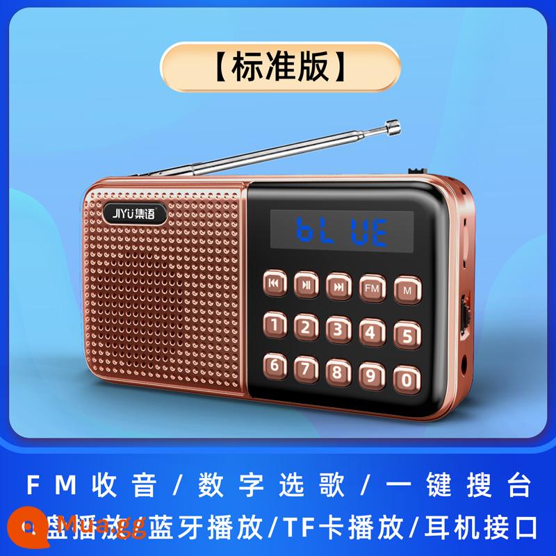 Radio chuyên dụng âm thanh cho người già Máy nghe nhạc đa năng Walkman người già sạc di động 2022 cao cấp mới - Vàng địa phương [không bao gồm thẻ nhớ]