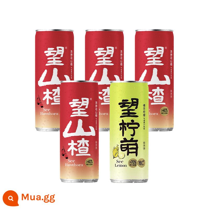 [Dành riêng cho khách hàng mới] Good Hope Water Hope Hawthorn Lemon Meng Juice đóng hộp Nước có ga Nước uống giải khát mùa hè - Táo gai*4+chanh*1 lon