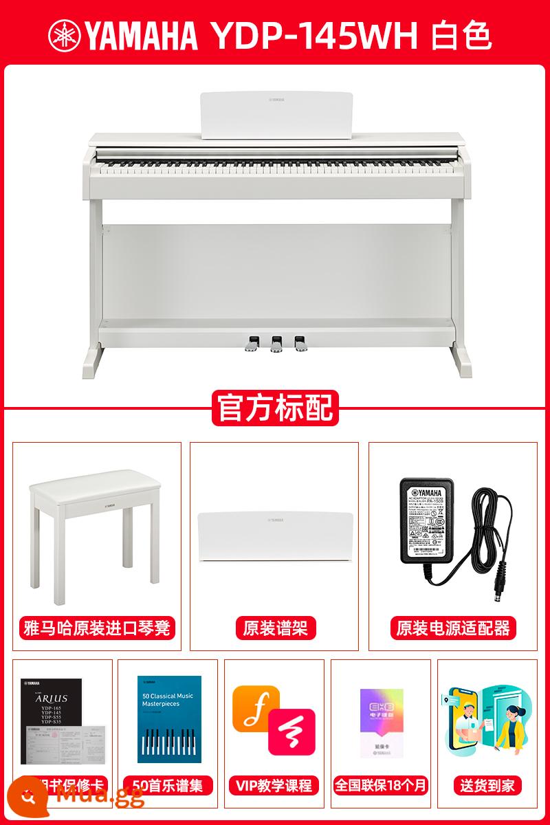 Đàn piano điện Yamaha YDP145 home 88-key heavy hammer chính thức hàng đầu thử nghiệm đàn piano điện tử chuyên nghiệp ydp144 - Sản phẩm mới YDP145WH (màu trắng) tiêu chuẩn chính thức + ghế đàn piano nguyên bản