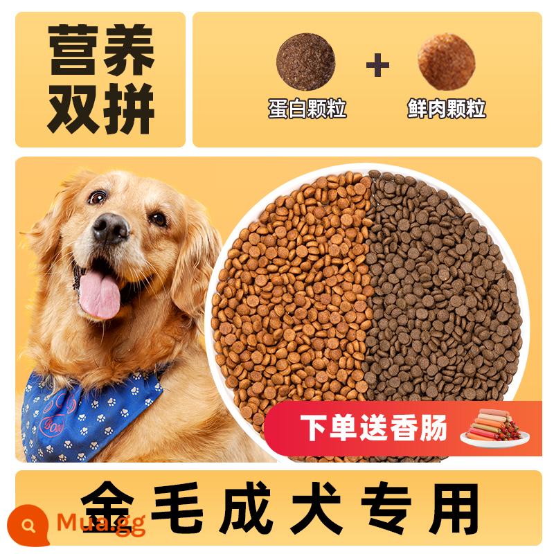 Thức ăn đông khô cho chó Golden Retriever 20 catties, bổ sung canxi cho chó con, chó trưởng thành, chó vừa và lớn, vết rách nhẹ, thức ăn 40 nguyên giá - Mua 1 tặng 1, chỉ dành cho chó trưởng thành [Kết hợp dinh dưỡng kép] Cam kết hoàn tiền nếu không ăn