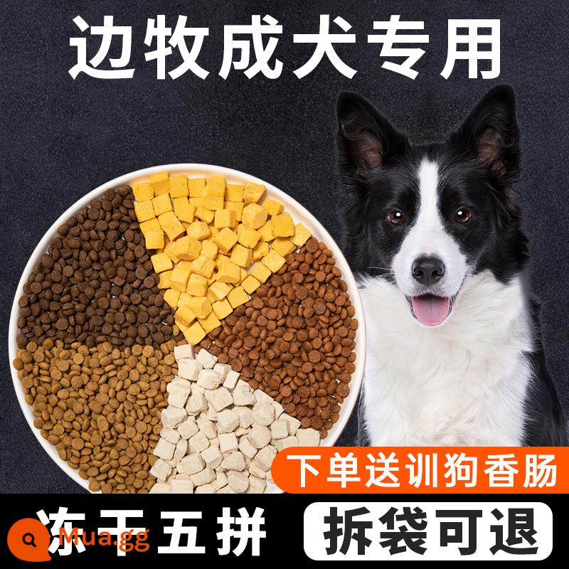 Thức ăn đặc biệt cho chó Isaac Border Collie 40 catties thức ăn đông khô cho chó con chó trưởng thành gói lớn làm đẹp tóc bổ sung canxi cho chó chăn cừu - Đặc biệt dành cho Border Collies (phiên bản nâng cấp 5 miếng đông khô) thịt sống + lòng đỏ trứng + phô mai dê + hàm lượng protein cao + thực phẩm thịt tươi