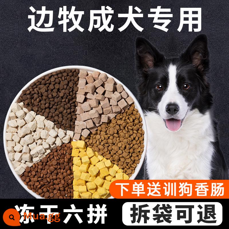 Thức ăn đặc biệt cho chó Isaac Border Collie 40 catties thức ăn đông khô cho chó con chó trưởng thành gói lớn làm đẹp tóc bổ sung canxi cho chó chăn cừu - Đặc biệt dành cho Border Collies (phiên bản cao cấp 6 miếng đông khô) thịt bò + thịt sống + lòng đỏ trứng + phô mai feta + hàm lượng protein cao + thực phẩm thịt tươi