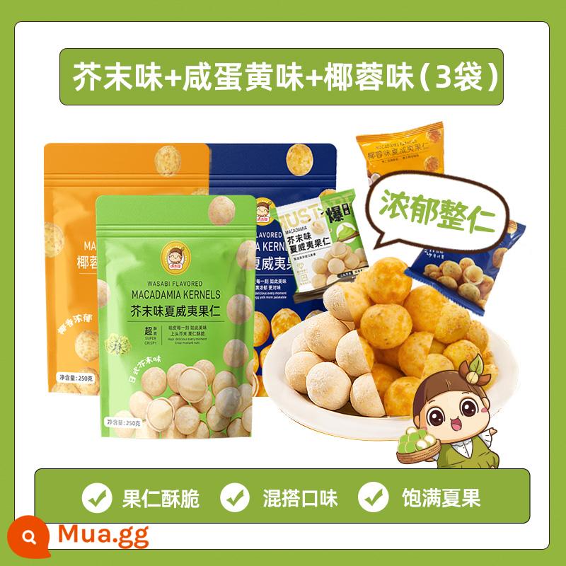 Hạt Macadamia vị mù tạt 500g Shangchao Cùng loại Đồ ăn vặt thông thường thay thế phẳng Không chiên Net Red Nuts Nuts - [Trộn và kết hợp các loại hạt đậm đà] Hương mù tạt 250g*1 túi + Hương lòng đỏ trứng muối 250g*1 túi + Hương dừa 250g*1 túi