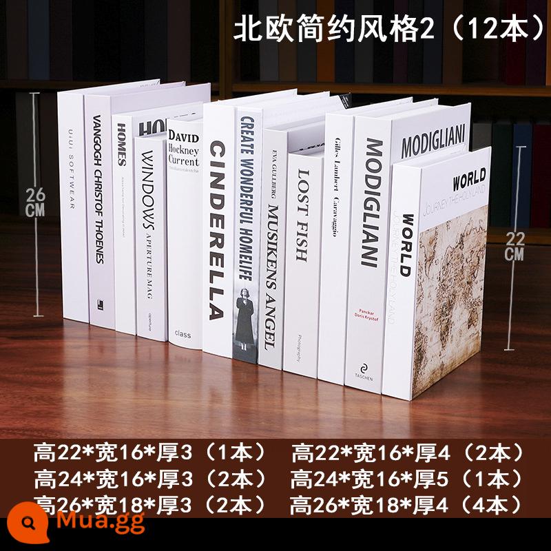 Sách Giả Trang Trí Đơn Giản Bắc Âu Nghiên Cứu Phòng Khách Kệ Trang Trí Trang Trí Trung Quốc Mới Tủ Sách Giả Sách Mô Phỏng Sách Đạo Cụ - Phong Cách Đơn Giản Bắc Âu Số 2 (1 bộ 12 cuốn)