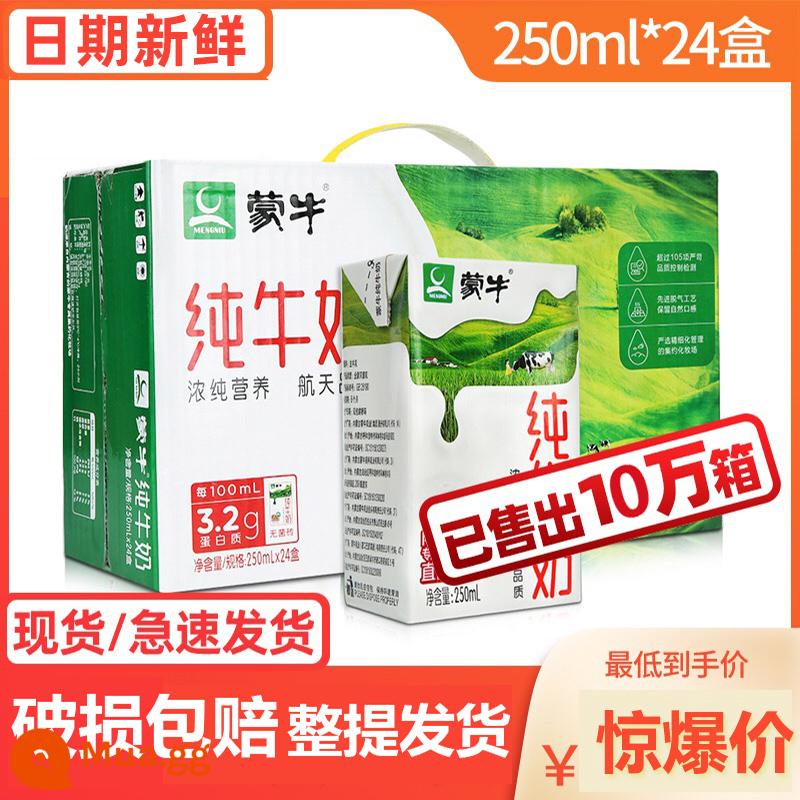 [Ngày mới] Chính thức chính thức Mengniu Sữa nguyên chất 250ml*24 Hộp ăn sáng dinh dưỡng gia đình đầy đủ chất béo - [Quản lý cửa hàng khuyến nghị hàng mới về trong tháng 10] 250ml*24 hộp