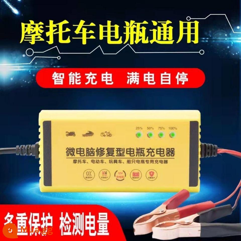 Ô tô 12V, xe tải nhỏ, ô tô, xe máy, sạc ắc quy, sạc đa năng ắc quy nhanh thông minh - [Bốn đèn cao cấp] 12V4-20ah