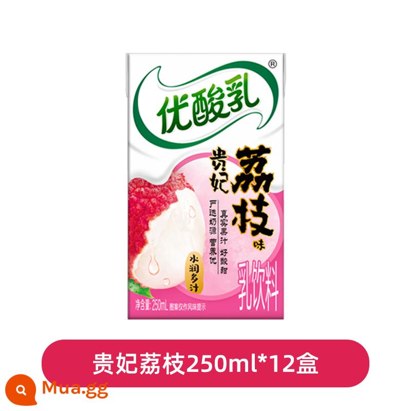 Tháng 12, Yogurt Yili Youyaourt Original Flavour 250ml*24 hộp full box sữa chua uống dành cho bữa sáng của học sinh, sinh viên ưu đãi đặc biệt miễn phí vận chuyển - [Hương vị mới] 250ml*12 hộp sữa chua và hương vải thiều cao cấp