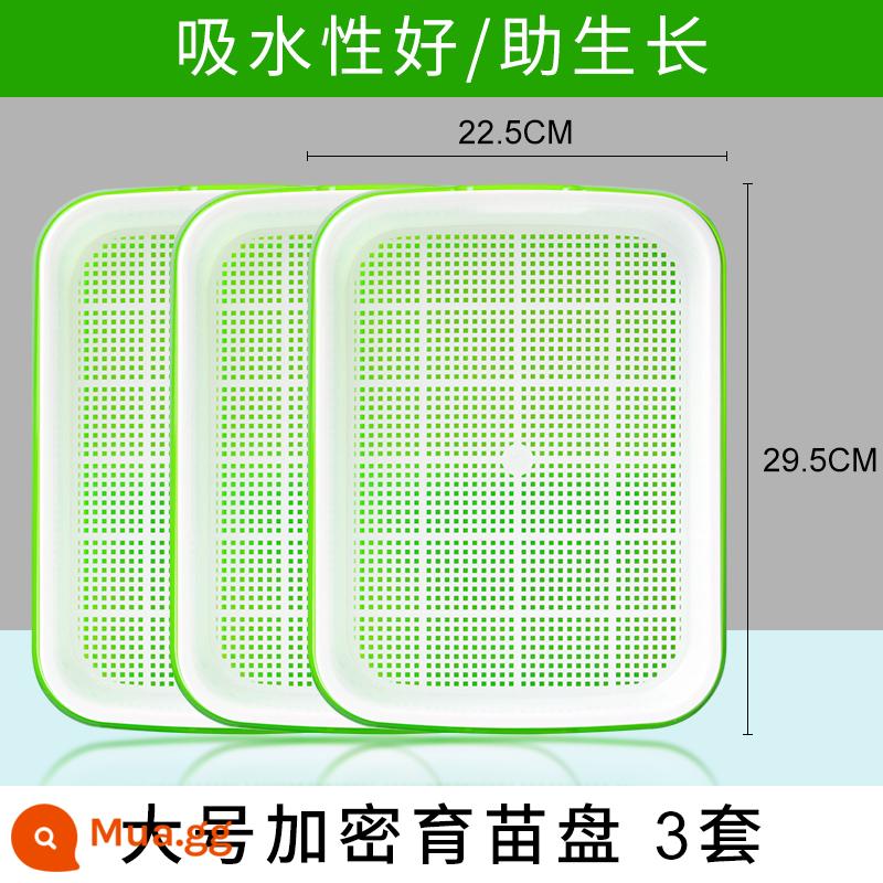 Đĩa ươm mầm rau thủy canh hộp tóc đậu phộng giá đỗ chậu đặc biệt trồng không cần đất trồng rau giá đỗ nảy mầm trồng trong chậu - Khay ươm mã hóa lớn 3 bộ