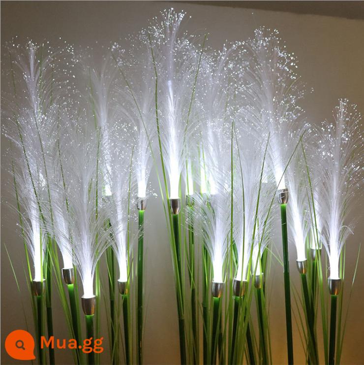 Sợi quang đèn sậy led mô phỏng phát quang pampas đèn sậy bãi cỏ ngoài trời cảnh quan đèn bố trí biệt thự sân vườn chèn ngầm đèn - Đèn sậy sợi quang điện (ánh sáng trắng)