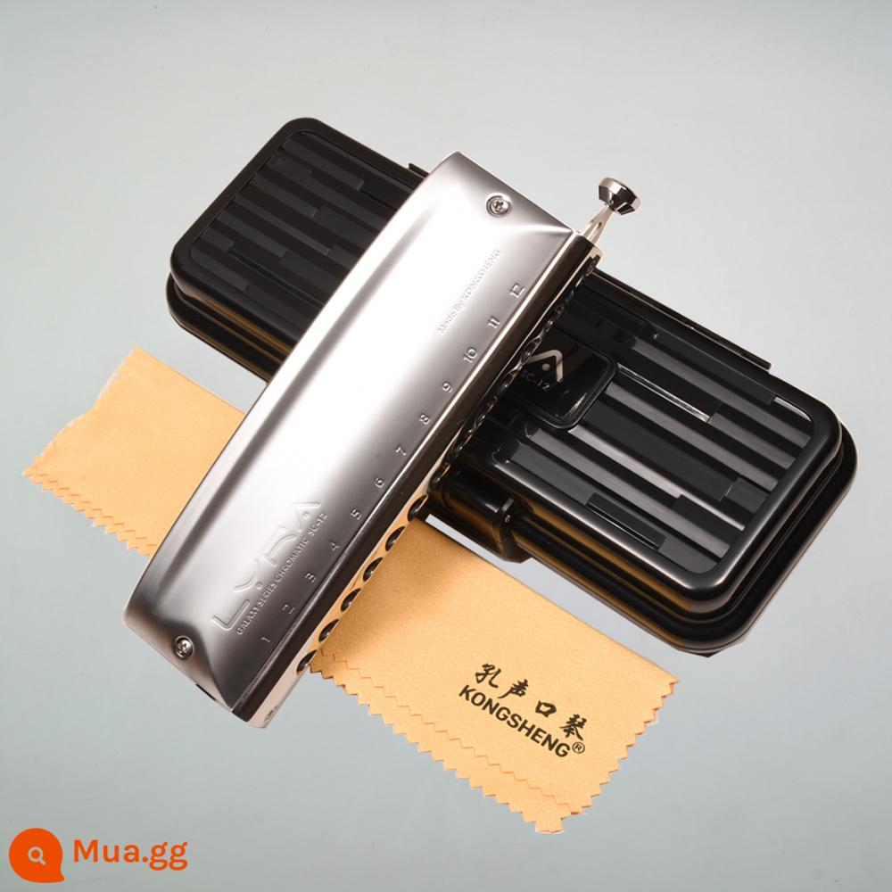 Hole Lyra chromatic harmonica 12 lỗ LYRA lưới kim loại cao cấp dành cho người lớn trung niên trình diễn chuyên nghiệp - Lyra 12 lỗ + video hướng dẫn + bông khử trùng + vải đàn piano