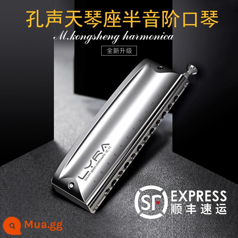 Hole Lyra chromatic harmonica 12 lỗ LYRA lưới kim loại cao cấp dành cho người lớn trung niên trình diễn chuyên nghiệp - Lyra 12 lỗ + giấy dạy học + bông tiệt trùng + vải đàn piano [khuyên dùng cho người mới bắt đầu]