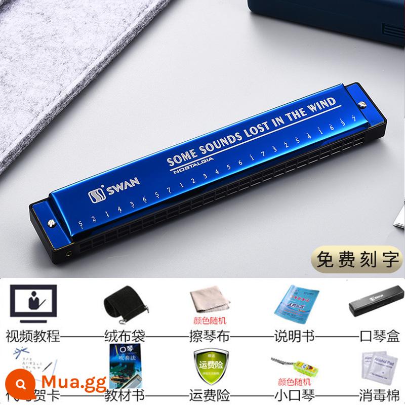 Kèn harmonica thiên nga cho người mới bắt đầu nhập học 24 lỗ đa âm C harmonica học sinh tiểu học thực hành đặc biệt kèn harmonica - Đa âm 24 lỗ màu xanh huyền ảo + 11 quà tặng học tập