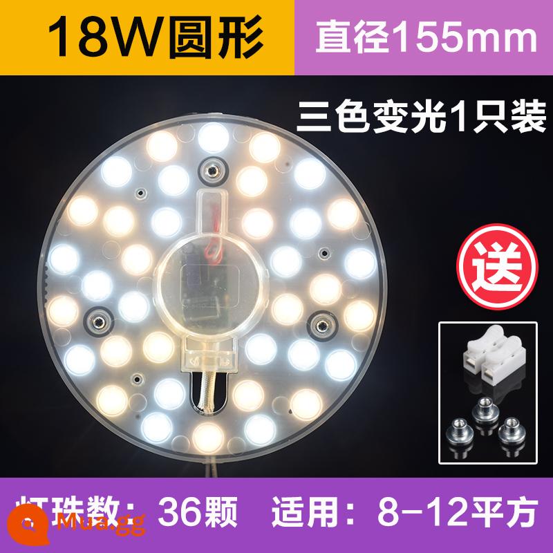 Đèn LED Ốp Trần Bấc Tròn Siêu Sáng Chuyển Đổi Nguồn Sáng Thay Thế Phòng Ngủ Bấc Đèn Bảng Tiết Kiệm Năng Lượng Đèn Vòng Mô Đun - Đèn highlight tròn 18W + ba màu