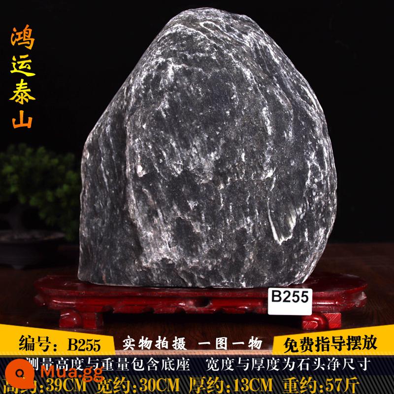 The Real Natural Stone dám trở thành trang web chính thức của cửa hàng chính thức của Taishan Stone Trang web chính thức Taishan Shi dám ở trong nhà - B255