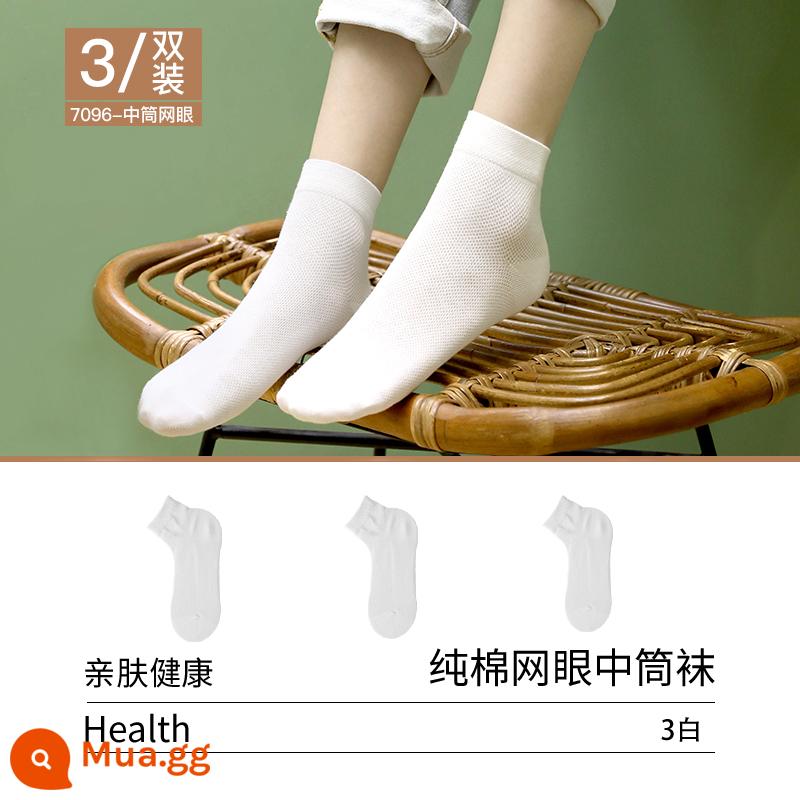 Tất nữ Langsha cotton nguyên chất đến giữa bắp chân xuân thu nữ tất ngắn thoáng khí vớ ngắn lưới mùa hè vớ cotton dài màu trắng - Loại A Phong Cách Mùa Hè [3 Trắng] Cotton Lưới