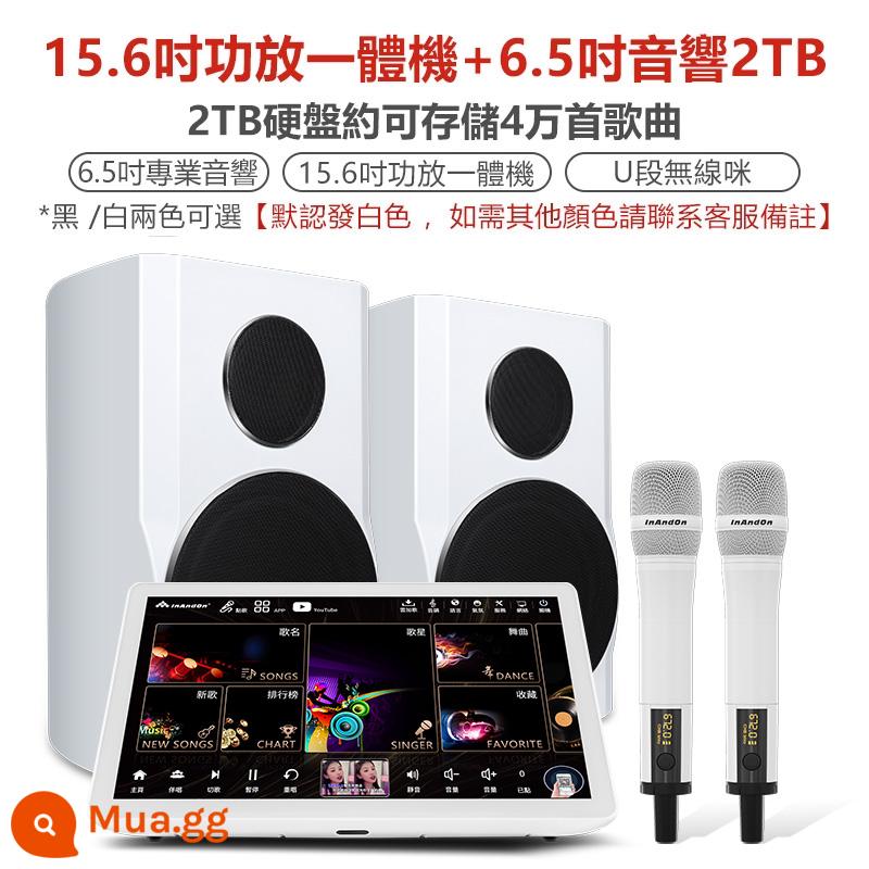 Máy karaoke InAndon Yinwang phiên bản quốc tế K90MAX Trung Quốc Hồng Kông, Ma Cao và Đài Loan Máy hát gia đình KTV karaoke - [Phiên bản quốc tế toàn cảnh 5 trong 1 2TB] Bộ khuếch đại 15,6 inch All+loa 6,5 ​​inch