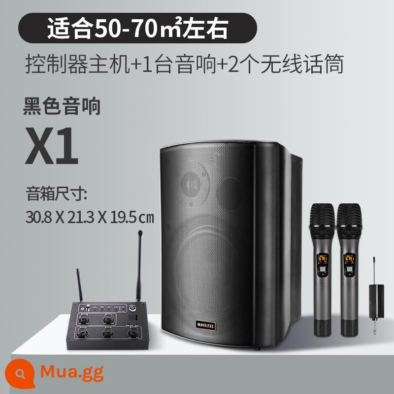 Âm thanh không dây treo tường Loa Bluetooth dành riêng cho cửa hàng bao quanh phòng ăn thanh thương mại phòng khiêu vũ phòng hội nghị - Bộ điều khiển nâng cấp + 1 loa đen + 2 micro