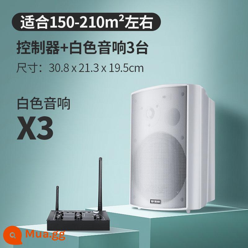 Âm thanh không dây treo tường Loa Bluetooth dành riêng cho cửa hàng bao quanh phòng ăn thanh thương mại phòng khiêu vũ phòng hội nghị - Bộ điều khiển nâng cấp + 3 loa màu trắng