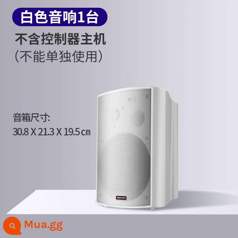 Âm thanh không dây treo tường Loa Bluetooth dành riêng cho cửa hàng bao quanh phòng ăn thanh thương mại phòng khiêu vũ phòng hội nghị - 1 loa màu trắng (không có bộ điều khiển) - dùng để thêm loa sau này