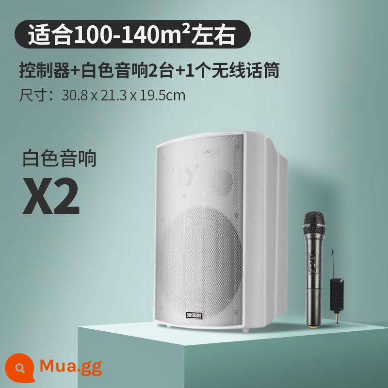 Âm thanh không dây treo tường Loa Bluetooth dành riêng cho cửa hàng bao quanh phòng ăn thanh thương mại phòng khiêu vũ phòng hội nghị - Bộ điều khiển nâng cấp + 2 loa trắng + 1 micro