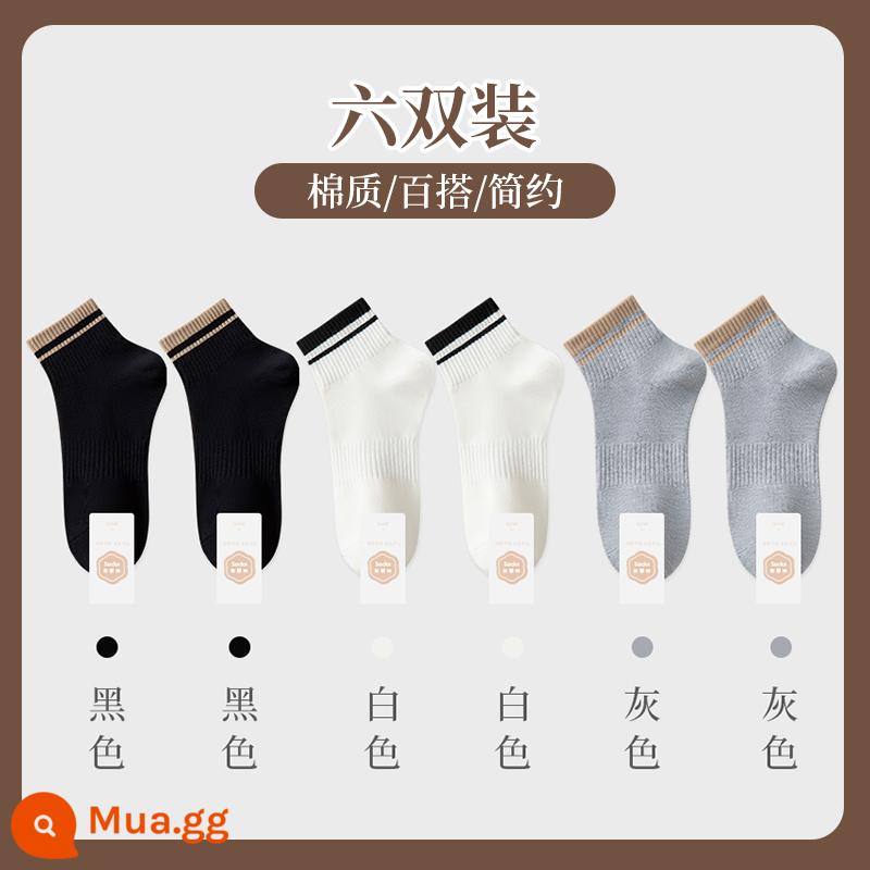 Người phụ nữ Bà 2022 Mùa xuân và mùa thu ngắn Motormus Cotton Girls Sports Autumn Dải băng giữa - [Phong cách thông thường] 2 đen + 2 trắng + 2 xám