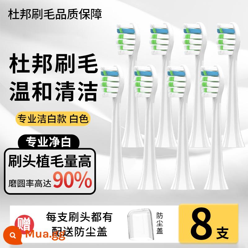 Thích hợp cho bàn chải đánh răng điện Đầu bàn chải LMN của Đức L1L2L1-TZ đầu bàn chải màu trắng chắc chắn Đầu bàn chải thay thế đa năng Curtis - [Mẫu trắng chuyên nghiệp] Trắng 8 múi