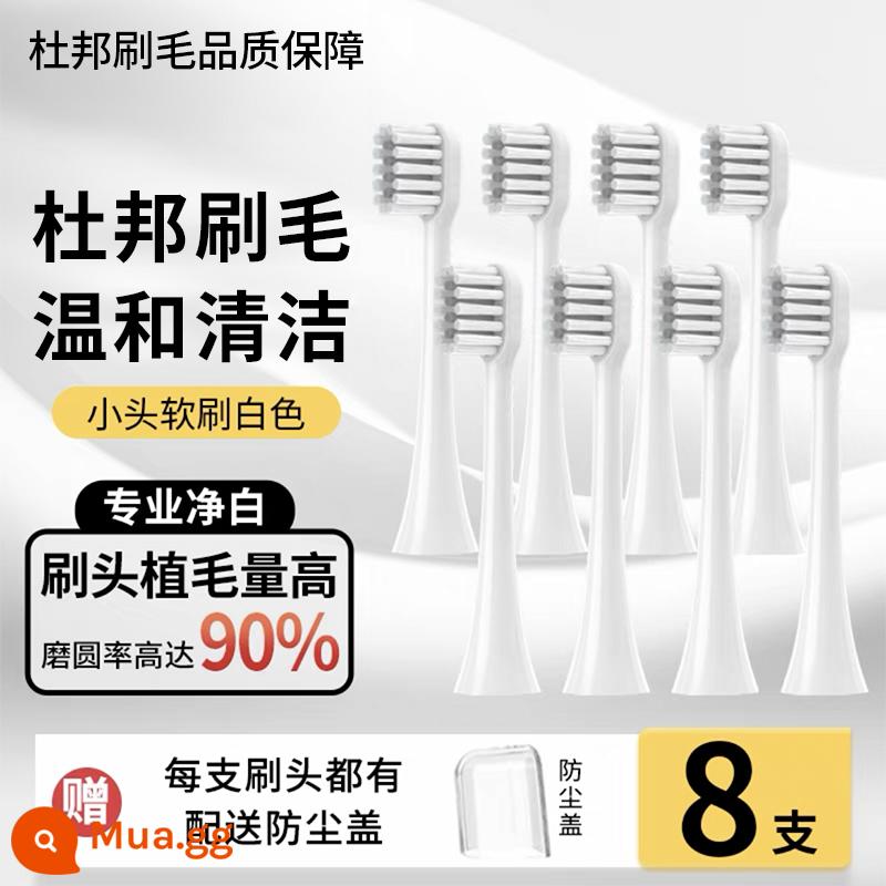 Thích hợp cho bàn chải đánh răng điện Đầu bàn chải LMN của Đức L1L2L1-TZ đầu bàn chải màu trắng chắc chắn Đầu bàn chải thay thế đa năng Curtis - [Bàn chải mềm đầu nhỏ] Gói 8 màu trắng sạch tiêu chuẩn