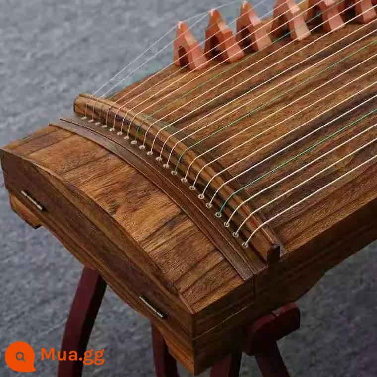 Đàn guzheng 163 mới dành cho người mới bắt đầu tham gia nhà sản xuất gỗ mun guzheng nhỏ cầm tay 125cm cấp thứ mười - Gỗ Japonica 125cm [Ưu đãi đặc biệt]