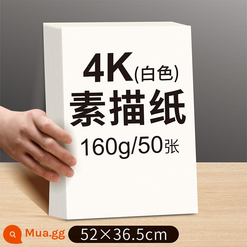 Zhinian 4k giấy phác thảo 8k gouache giấy vẽ màu nước 8 mở phác thảo bút đánh dấu sinh viên nghệ thuật giấy đặc biệt 4 mở giấy vẽ a34 dày chuyên nghiệp công cụ dành cho người mới bắt đầu trọn bộ 16k vẽ đường vẽ - 4k160g phác thảo trắng 50 hình ảnh