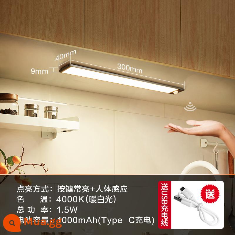 Bull LED tổng thể ánh sáng tủ có thể sạc lại cảm ứng cơ thể con người nhà bếp tủ quần áo tủ rượu dải ánh sáng tủ giày không dây tự dính - 30cm Trắng ấm + Cảm biến cơ thể con người + Điều khiển ánh sáng + Luôn bật + Model có thể sạc lại