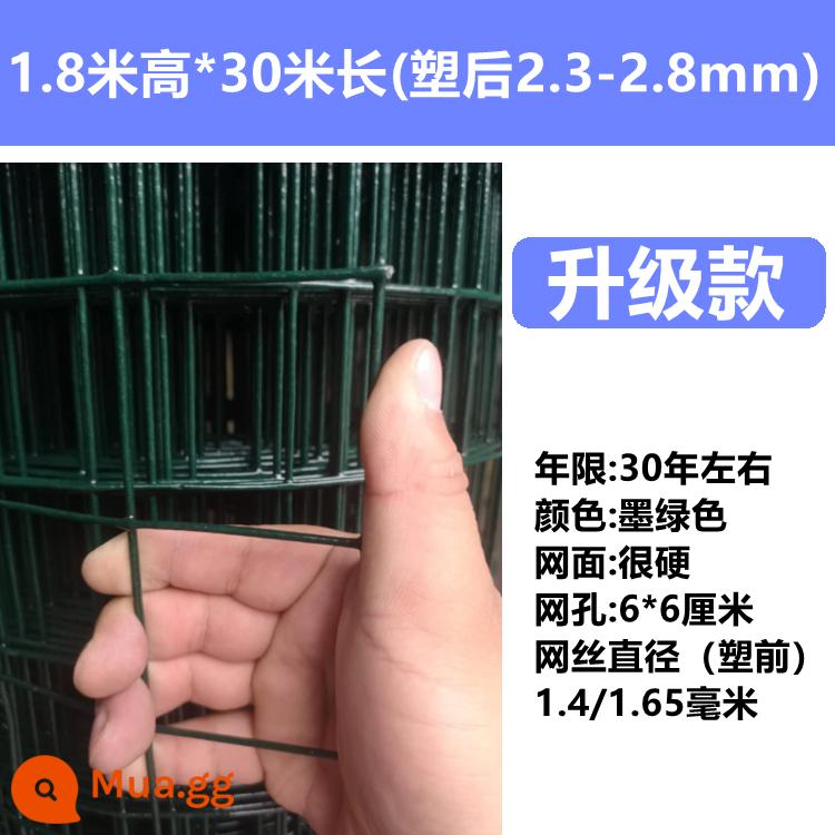 Hàng rào dây thép gai chăn nuôi gà lưới bảo vệ hàng rào lan can ngoài trời dây thép Hà Lan lưới sắt lưới nhà vườn rau - màu đỏ