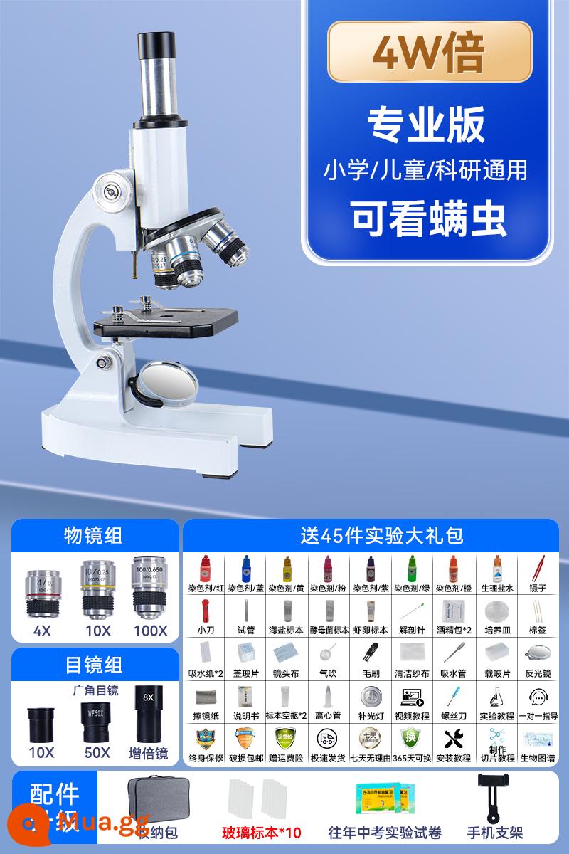 Kính hiển vi sinh học dành cho trẻ em học sinh tiểu học chuyên nghiệp học sinh trung học cơ sở kỳ thi tuyển sinh trung học phổ thông đặc biệt xem vi khuẩn điện tử - [Phiên bản chuyên nghiệp 40000] Lấy 10 mẫu và xem tế bào