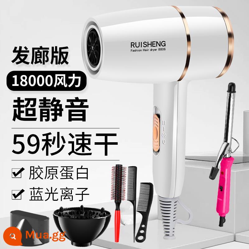 Fei Lifu Hair Salon Cao Cấp 3000 Máy Sấy Tóc Hộ Gia Đình Cửa Hàng Tóc Lớn Năng Lượng Gió Ký Túc Xá Sinh Viên Gió Nóng Lạnh Tắt Tiếng - Núi tuyết trắng, 80 triệu ion âm, miễn phí 9+ lọn tóc, bảo hành trọn đời, thay thế miễn phí