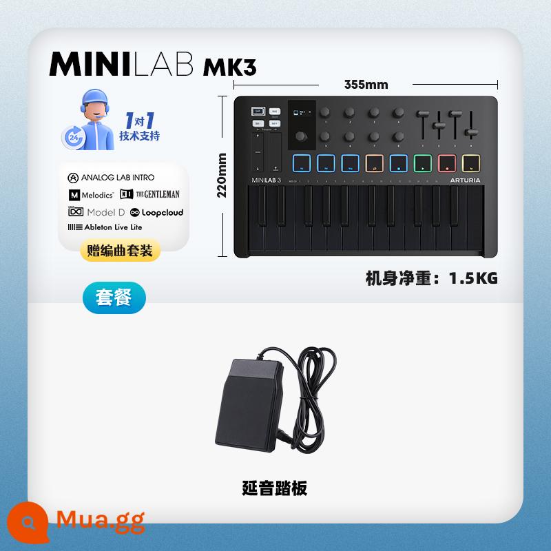 Thương hiệu trực tiếp Arturia MiniLab MK3 Portable Arranger MIDI Keyboard Controller Pad - ⚫ Model màu tối｜MINILAB MK3 màu đen thuần khiết - bàn đạp + dịch vụ 1-1 + gói phần mềm sắp xếp