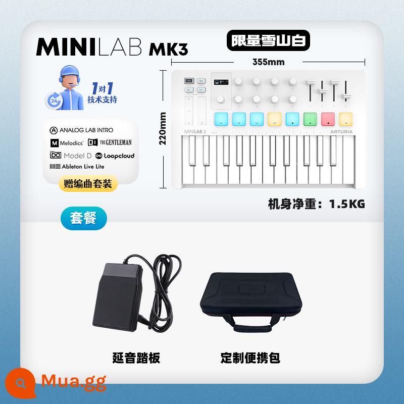 Thương hiệu trực tiếp Arturia MiniLab MK3 Portable Arranger MIDI Keyboard Controller Pad - ⭐Phiên bản giới hạn｜MINILAB MK3 Snow Mountain White-bàn đạp + túi vỏ cứng + dịch vụ 1 đổi 1 + gói phần mềm sắp xếp