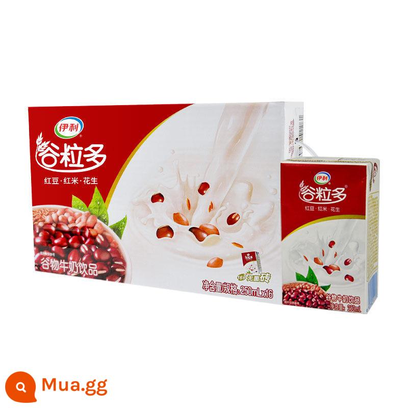 Tháng 11 ngũ cốc Yili mới hơn 250ml*12/12 hộp đậu đỏ, đậu đen, yến mạch, ngũ cốc dinh dưỡng học sinh nguyên hộp - [Hàng mới về tháng 8] Red Valley 250ml*16 hộp