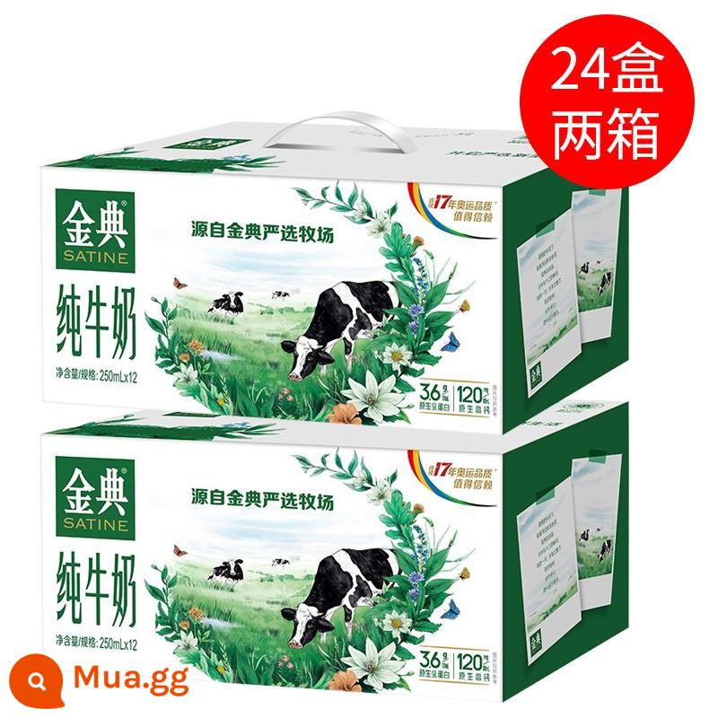 Sữa nguyên chất Yili Jindian 250ml * 12 hộp sữa giàu canxi full box chính thức flagship store flagship dream cover cổ điển - [Sản xuất trong 2 tháng] Sữa nguyên chất cổ điển 24 hộp*250ml | ❤70% lựa chọn