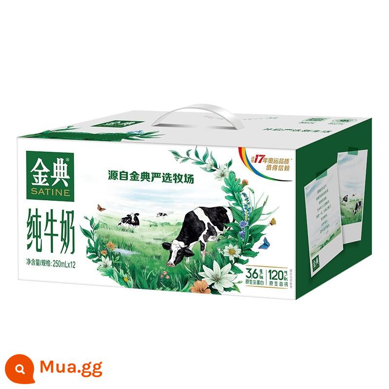 Sữa nguyên chất Yili Jindian 250ml * 12 hộp sữa giàu canxi full box chính thức flagship store flagship dream cover cổ điển - [Sản xuất 2 tháng] Sữa nguyên chất Classic 12 hộp*250ml