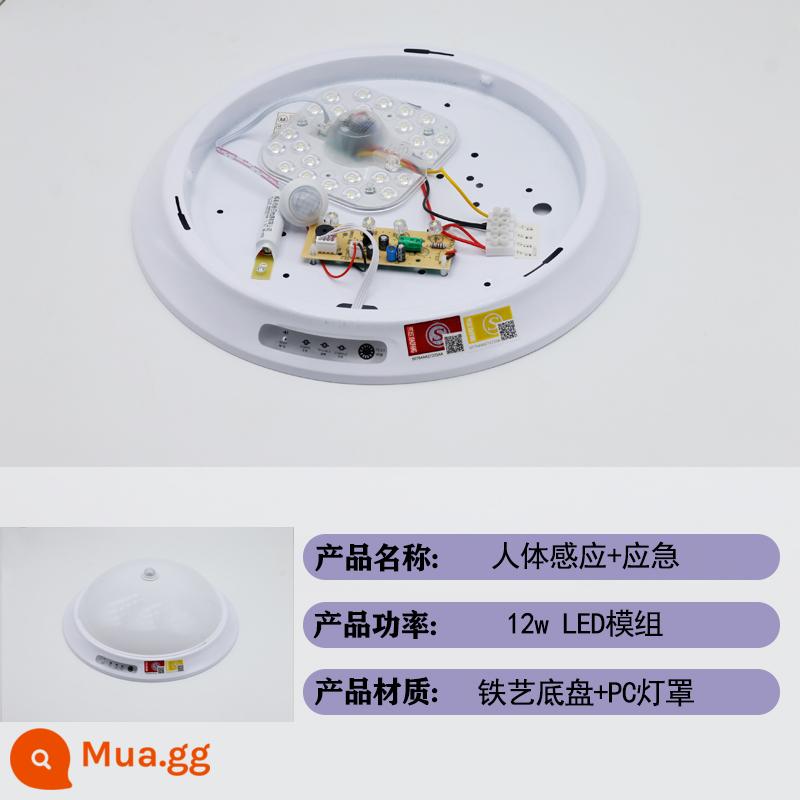 Tiêu Chuẩn Quốc Gia Mới Lửa Khẩn Cấp Đèn LED Âm Trần Cơ Thể Con Người Cảm Ứng Radar Điều Khiển Âm Thanh Cầu Thang Kênh Chiếu Sáng Đèn Cảm Ứng - Mô-đun LED-12w cảm biến khẩn cấp + cơ thể người