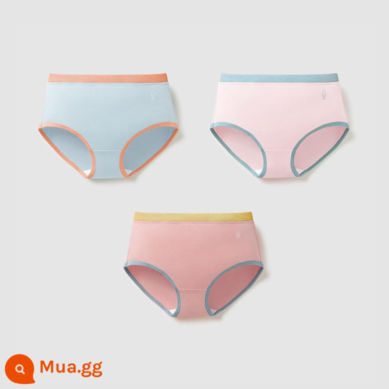 Chuối Quần Lót Trẻ Em 355C Cotton Kháng Khuẩn Boxer Quần Lót Bé Trai Màu Sắc Tương Phản Quần Lót Tam Giác Nữ 3 Cái - [Tam giác nữ] Muối biển xanh + bột củ sen + long lanh