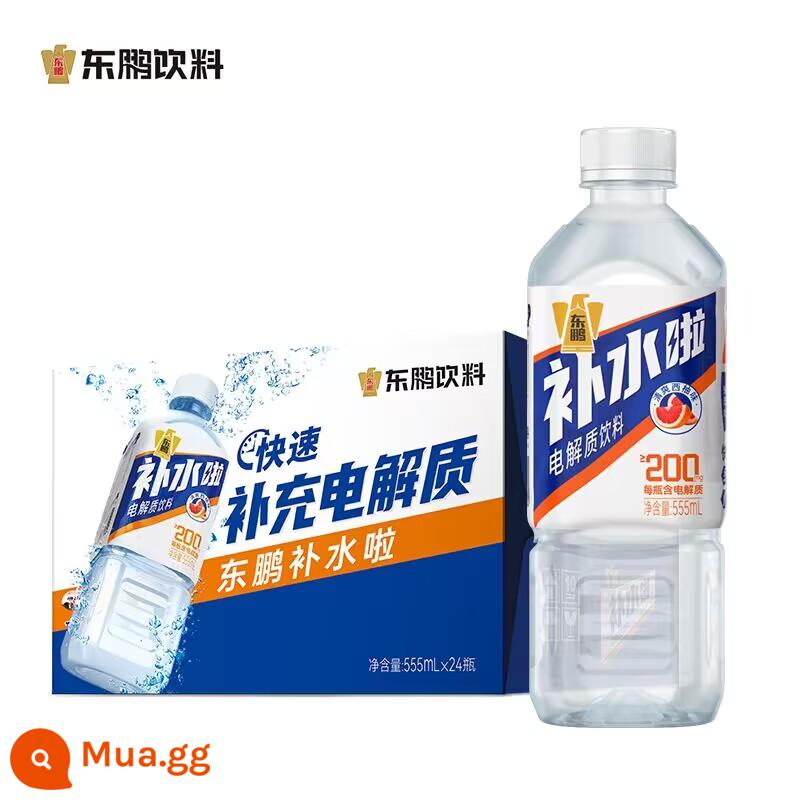 Dongpeng uống đặc biệt uống vitamin 500ml * 24 chai lớn đầy đủ chức năng thể thao taurine năng lượng chống mệt mỏi - Nước điện giải dưỡng ẩm Dongpeng 555ml*24 chai