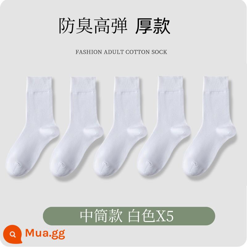 Tất trắng tinh, tất dài đến bắp chân nam, tất cotton vô hình màu trơn để chụp ảnh cưới, bộ vest công sở đen trắng, giày da, tất chân - Ống giữa dày màu trắng 5 đôi