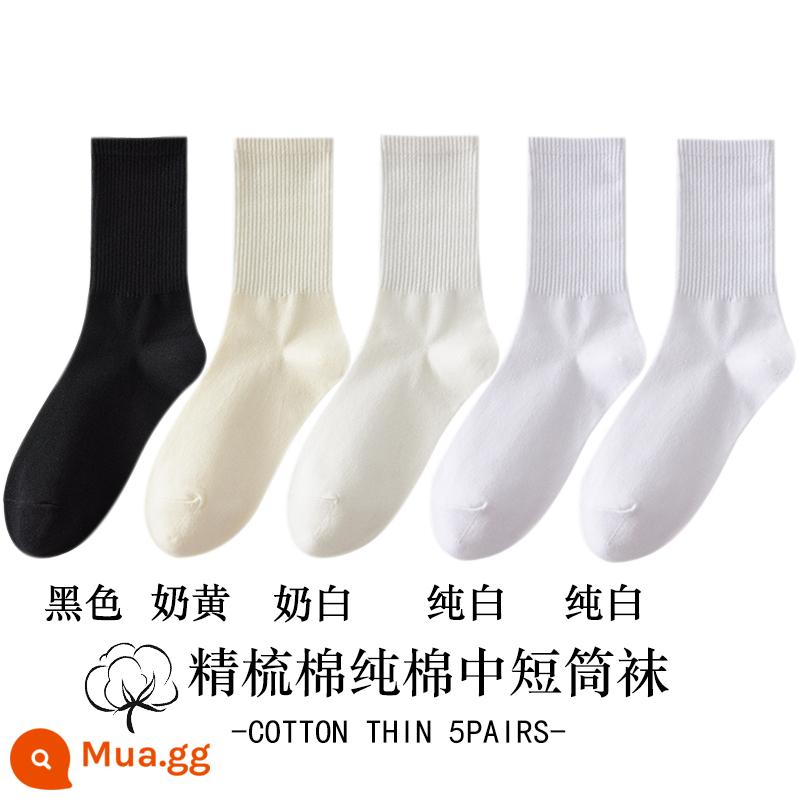 Vớ trắng nữ ống giữa mùa thu đông cotton nguyên chất khâu không xương hút mồ hôi khử mùi ống ngắn màu đen vớ nữ - [Phiên bản dài] 1 đen + 1 kem + 1 trắng sữa + 2 trắng tinh