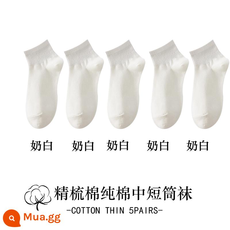 Vớ trắng nữ ống giữa mùa thu đông cotton nguyên chất khâu không xương hút mồ hôi khử mùi ống ngắn màu đen vớ nữ - [Phong Cách Ngắn] 5 Sữa Trắng