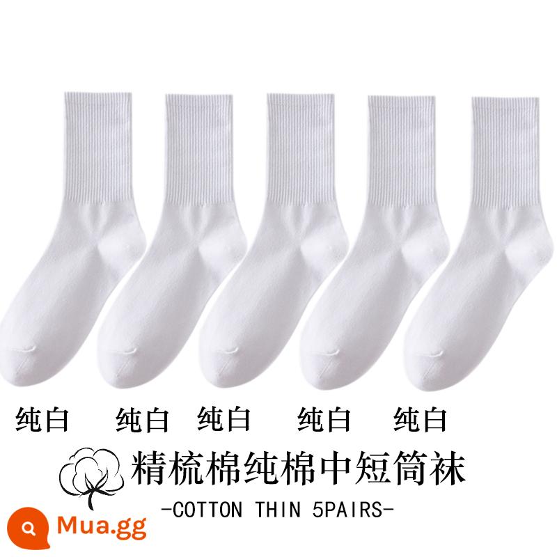 Vớ trắng nữ ống giữa mùa thu đông cotton nguyên chất khâu không xương hút mồ hôi khử mùi ống ngắn màu đen vớ nữ - [Phiên bản dài] 5 màu trắng tinh khiết