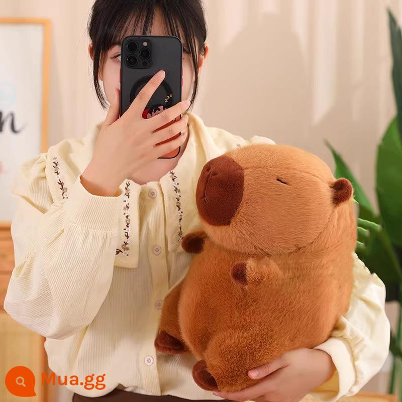 Búp bê Capybara đồ chơi sang trọng gối capybara mặt dây chuyền búp bê vải búp bê Capybara lap - Vị trí ngồi 35 cm