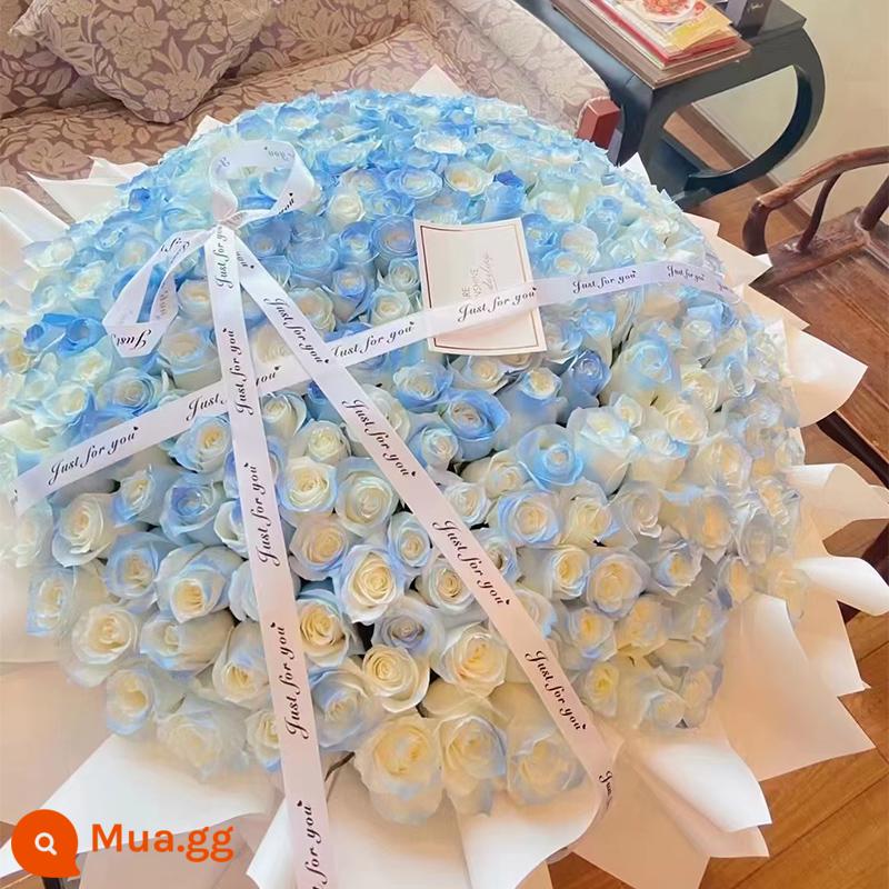 Michigan Broken Ice Blue Rose Bouquet Birthday Girlfriend Flower Express Giao hàng cùng thành phố Quảng Châu Cửa hàng toàn quốc Bắc Kinh - 199 bó hoa xanh băng nghiền [三生三世]