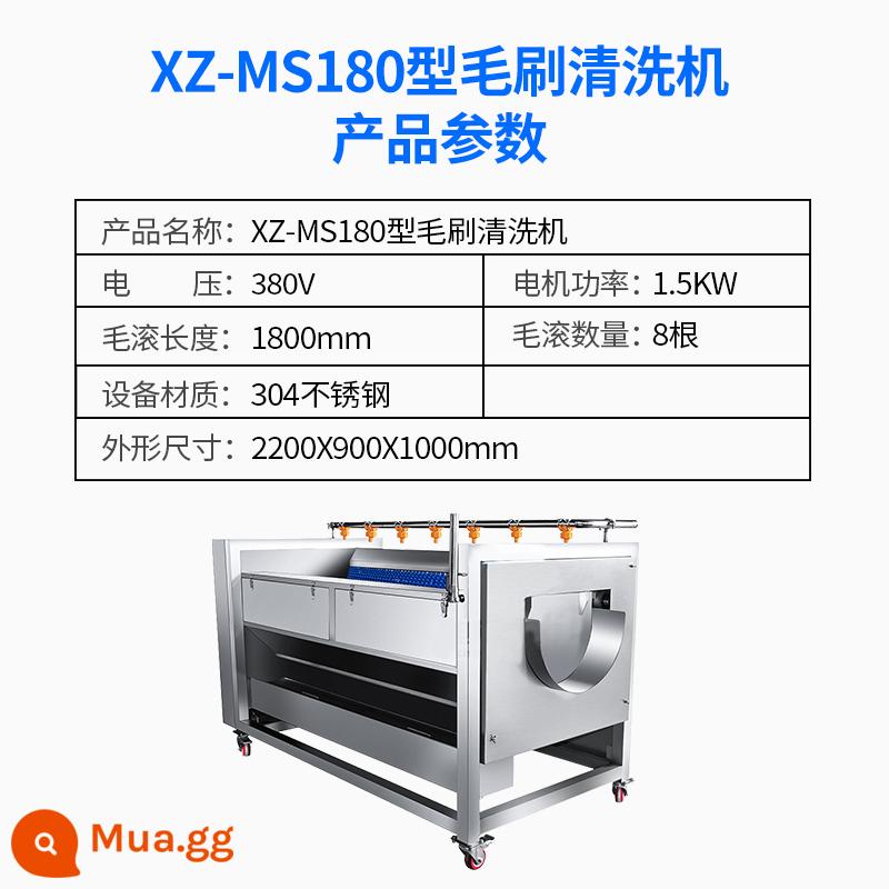 Dây chuyền làm sạch rau quả tự động Xuzhong Bàn chải bong bóng thương mại Làm sạch trái cây và rau quả Máy rửa rau Tất cả - Máy làm sạch chổi than Z-MS180