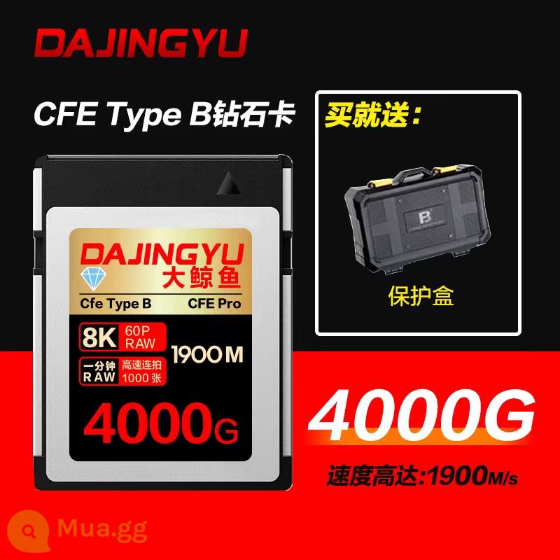 DAJINGYU cá voi lớn thẻ nhớ cfexpress thẻ xqd thẻ nhớ máy ảnh thích hợp cho Nikon Canon Panasonic - [Thẻ cao cấp Diamond PRO 4000GB] (1900MB/S)